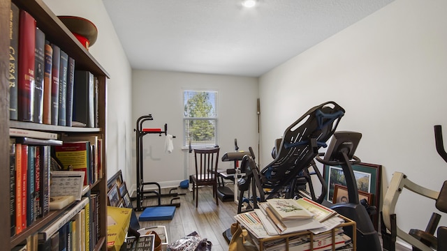 279 Tournament Ln, Freeport, FL 32439 - workout room featuring wood finished floors