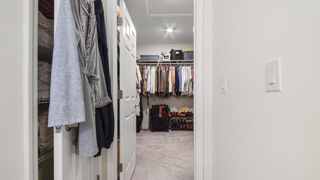 279 Tournament Ln, Freeport, FL 32439 - walk in closet with carpet flooring