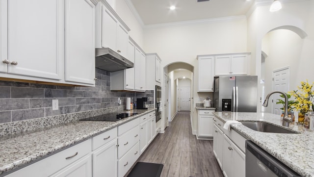 279 Tournament Ln, Freeport, FL 32439 - kitchen with arched walkways, crown molding, stainless steel appliances, a sink, and under cabinet range hood