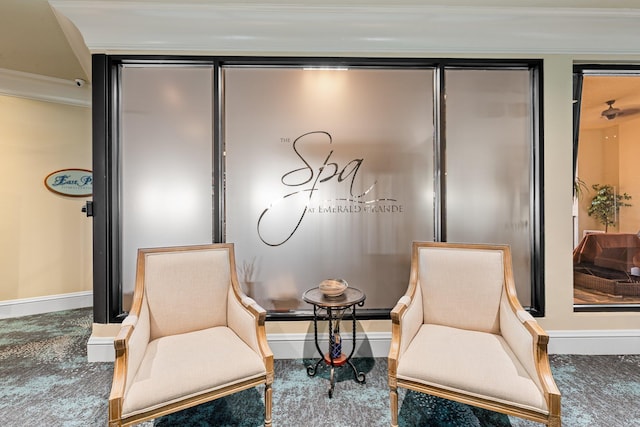 sitting room featuring carpet floors, a baseboard radiator, and baseboards