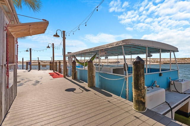 dock area with a water view