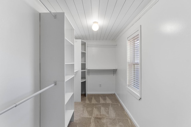 walk in closet with carpet floors