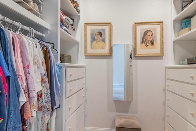 view of spacious closet