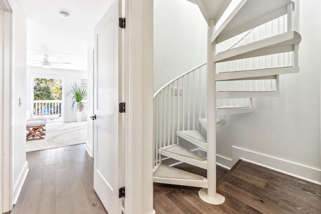 stairs with wood finished floors, a ceiling fan, and baseboards