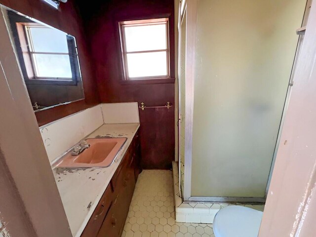 full bathroom with toilet, a stall shower, and vanity