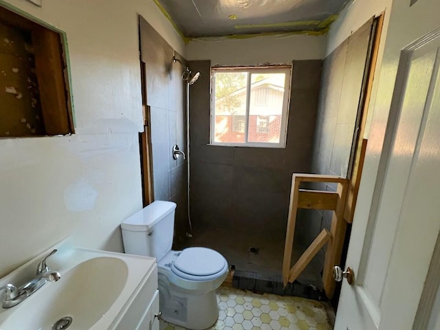 bathroom with toilet, a shower stall, and vanity