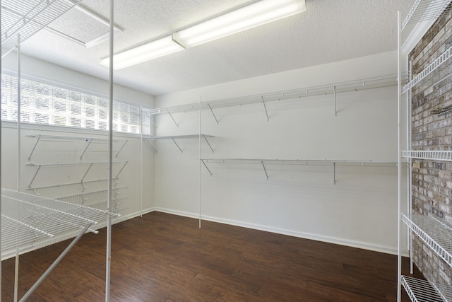 spacious closet featuring wood finished floors