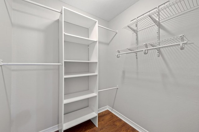 spacious closet with wood finished floors