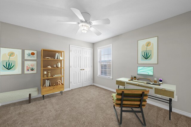 office space with a ceiling fan, carpet, and baseboards