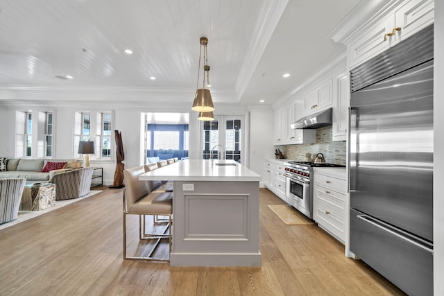 kitchen featuring premium appliances, open floor plan, crown molding, under cabinet range hood, and backsplash