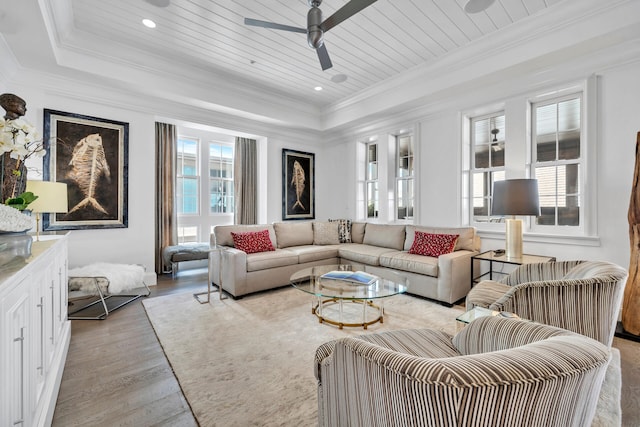 living room with a raised ceiling, a healthy amount of sunlight, and crown molding