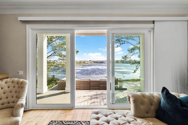 doorway featuring wood finished floors, a wealth of natural light, and crown molding