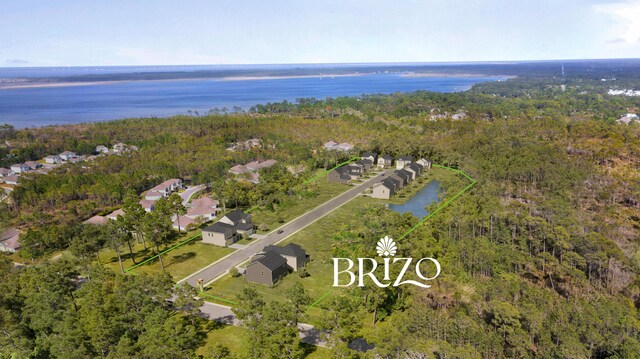 bird's eye view featuring a forest view and a water view