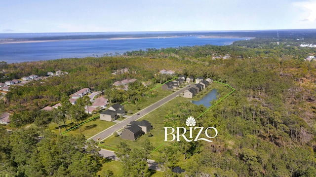 birds eye view of property with a water view and a view of trees