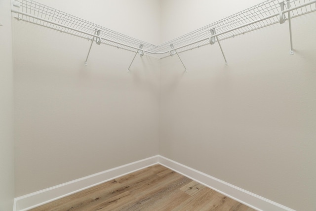 spacious closet featuring light wood-style flooring