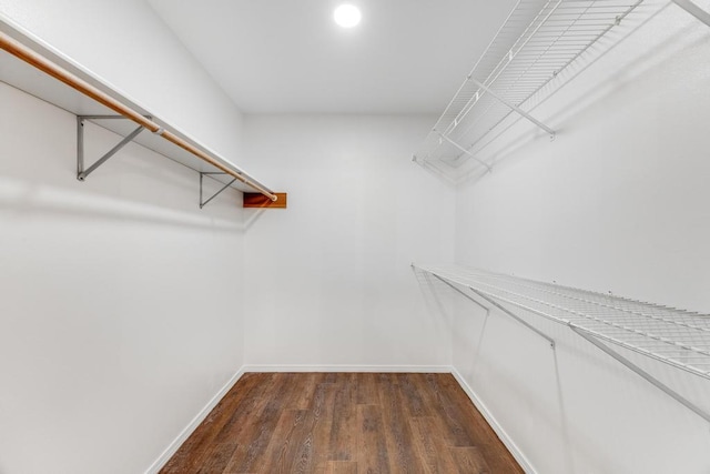 walk in closet featuring dark wood finished floors