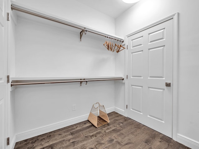 spacious closet featuring wood finished floors