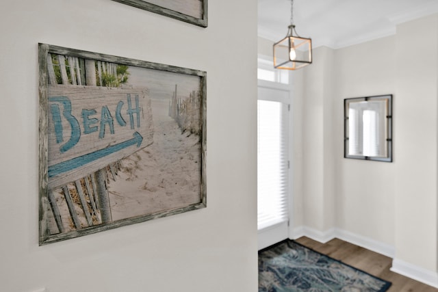 foyer with ornamental molding, wood finished floors, and baseboards