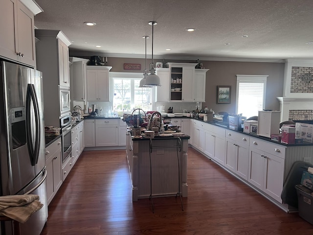 kitchen featuring a peninsula, a healthy amount of sunlight, dark wood-type flooring, and stainless steel appliances