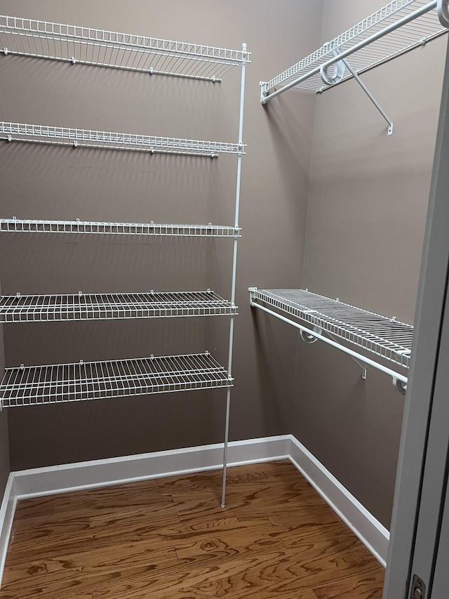 spacious closet featuring wood finished floors