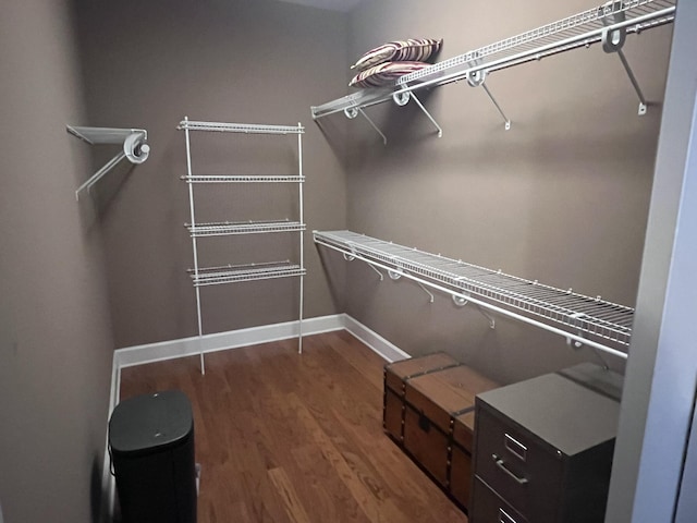 walk in closet featuring wood finished floors