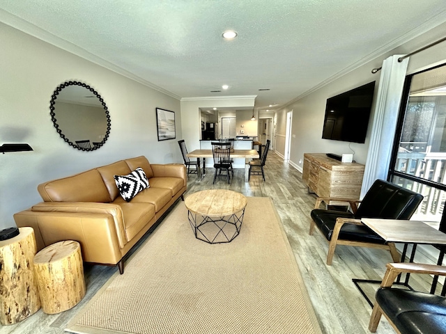 living room featuring light wood-type flooring, baseboards, ornamental molding, and a textured ceiling