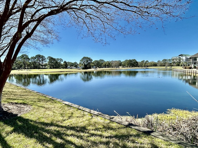 view of water feature