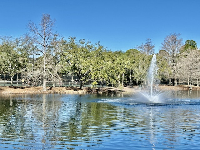 property view of water