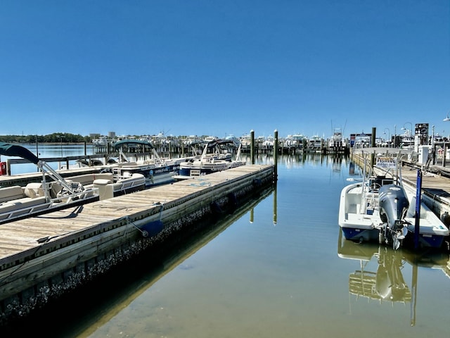 dock area featuring a water view