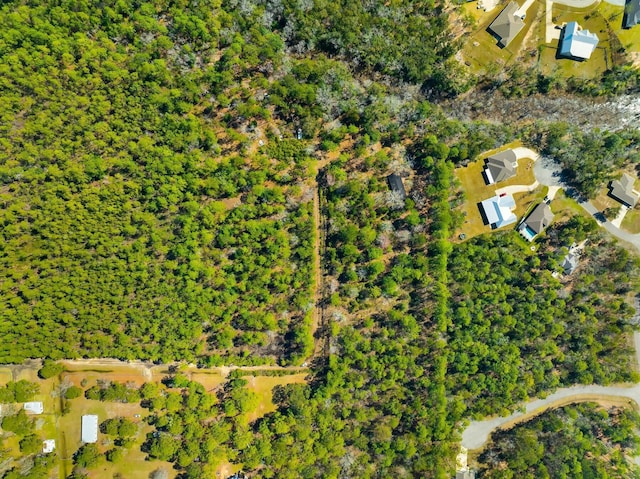 256 Delorean Dr, Freeport FL, 32439 land for sale