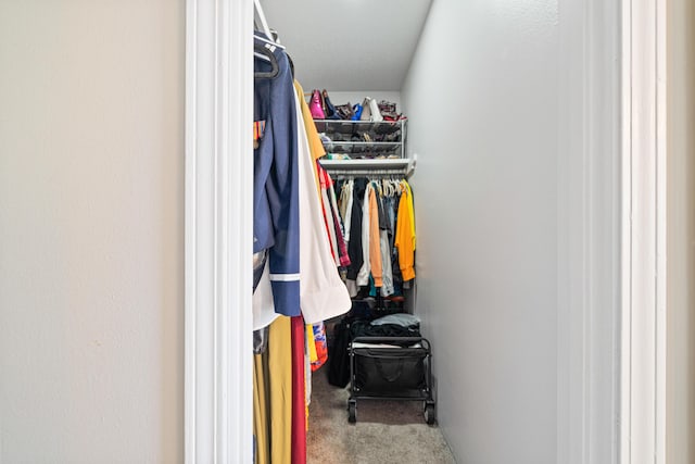 walk in closet with carpet flooring