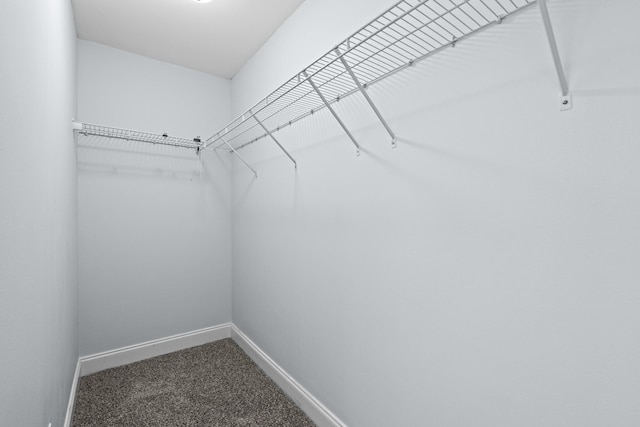 spacious closet with carpet