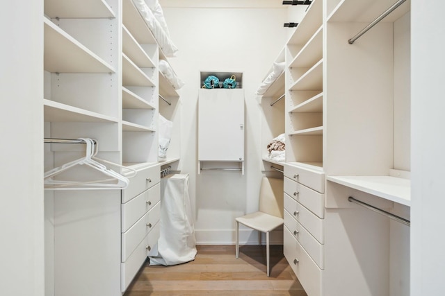 spacious closet featuring light wood finished floors