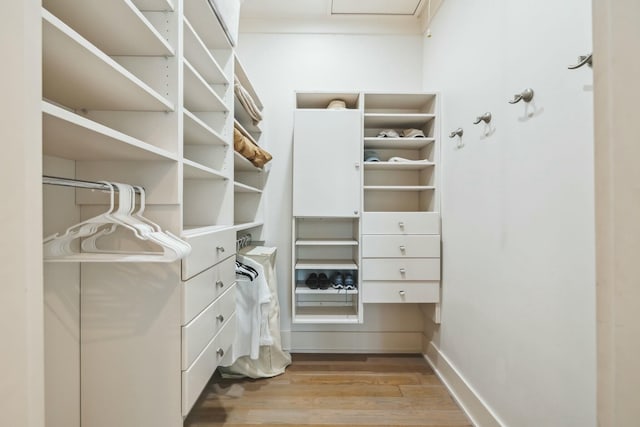 walk in closet featuring light wood-style flooring