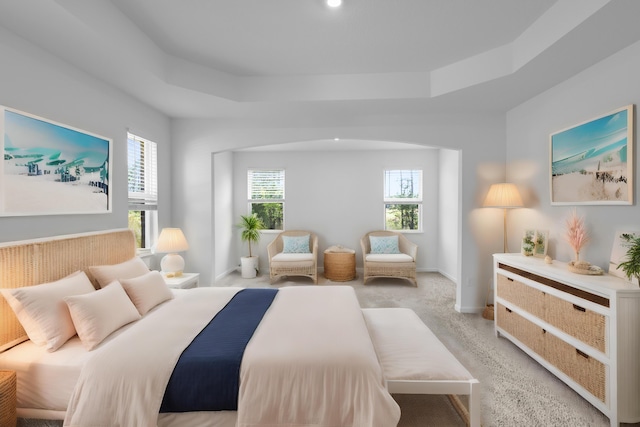 bedroom with baseboards, a raised ceiling, and light colored carpet