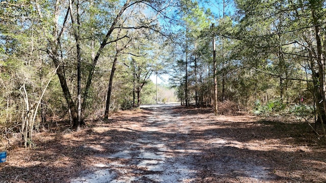 317 Beasley Dr, Defuniak Springs FL, 32433 land for sale