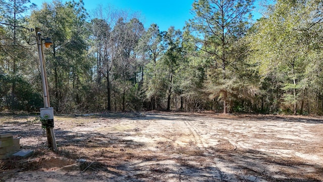 Listing photo 3 for 317 Beasley Dr, Defuniak Springs FL 32433