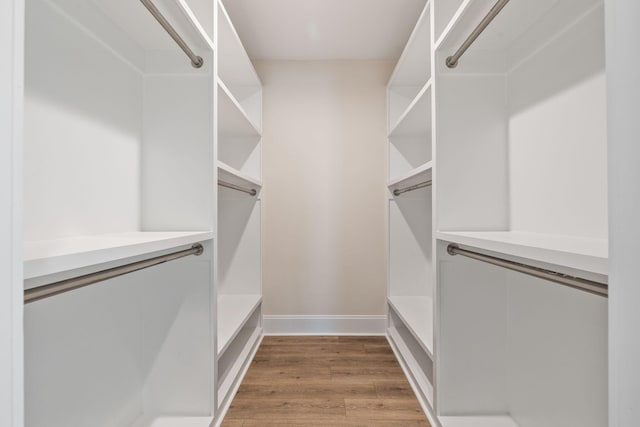 spacious closet featuring wood finished floors