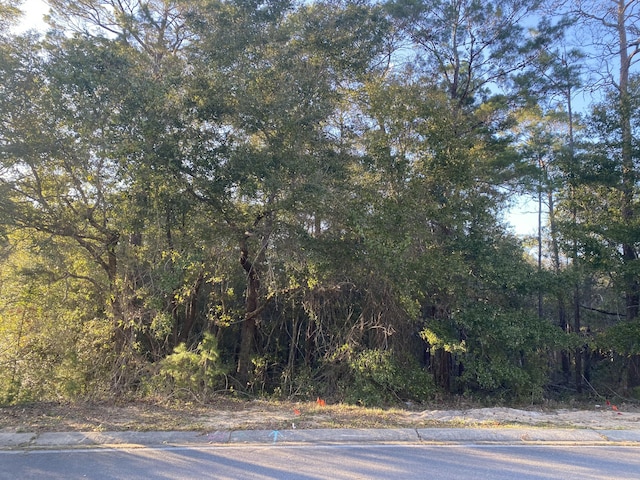 TBD Ruckel Dr, Niceville, FL 32578 - photo 4