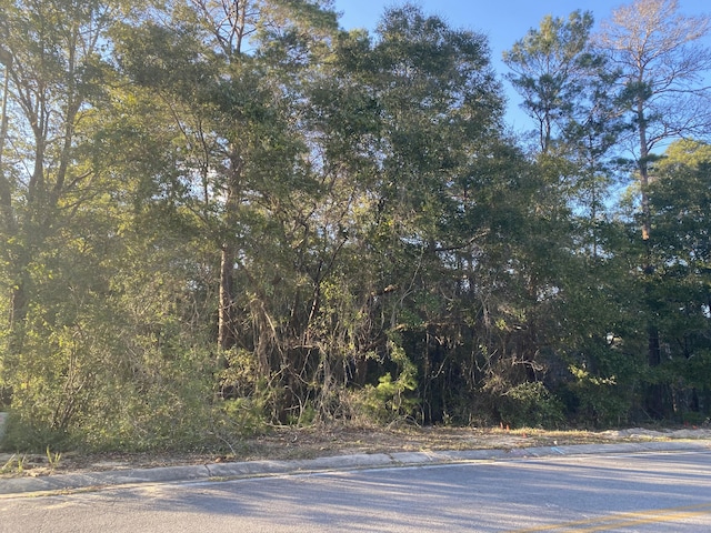 TBD Ruckel Dr, Niceville, FL 32578 - photo 5
