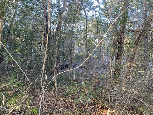 TBD Ruckel Dr, Niceville, FL 32578 - photo 6