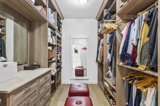 spacious closet with light wood-style flooring