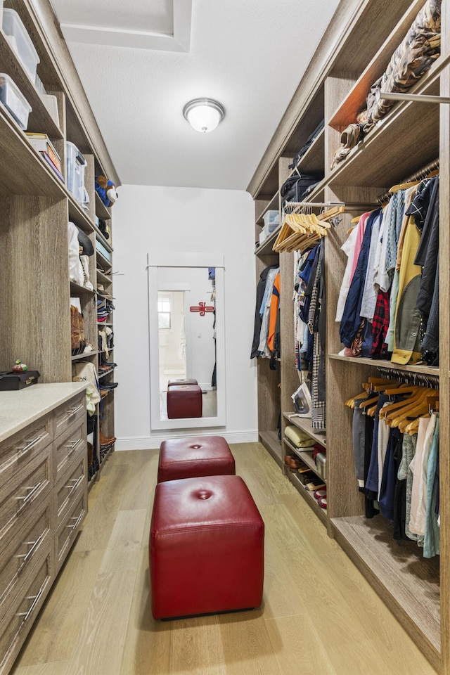 spacious closet featuring light wood finished floors