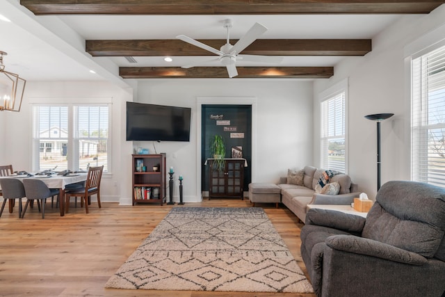 living area featuring beam ceiling, a healthy amount of sunlight, and light wood-type flooring