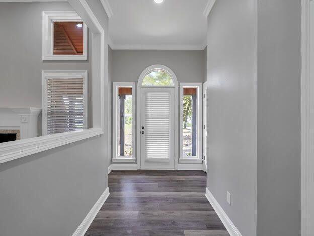 foyer entrance featuring crown molding, wood finished floors, and baseboards