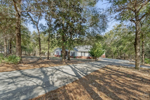 view of front of property featuring concrete driveway