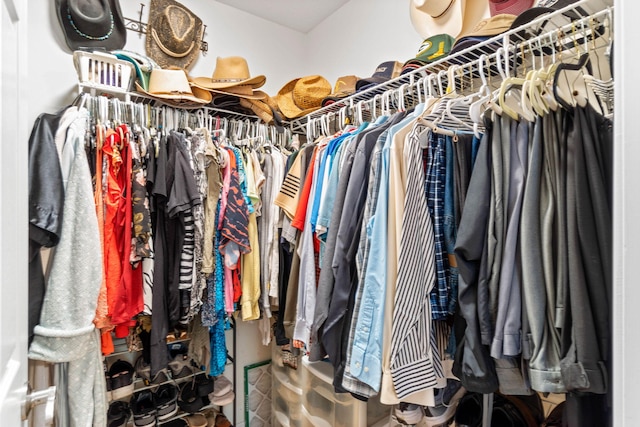 view of walk in closet