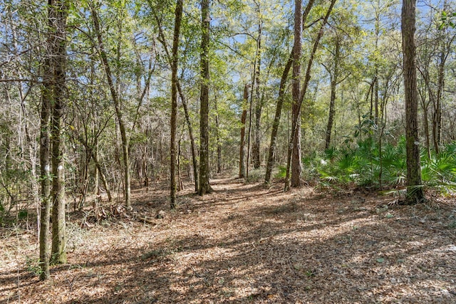 view of landscape with a wooded view