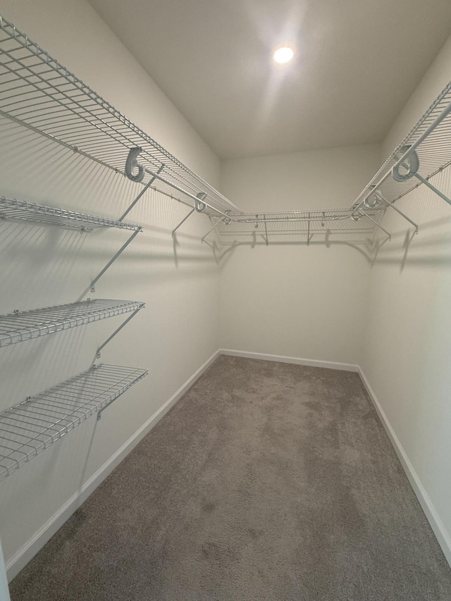 spacious closet with carpet