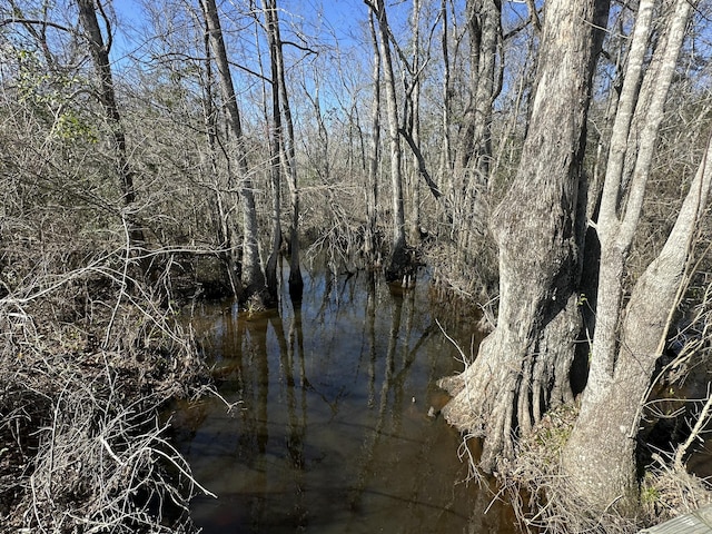 Listing photo 3 for TRACT6317 Harris Stevenson Rd, Bonifay FL 32425